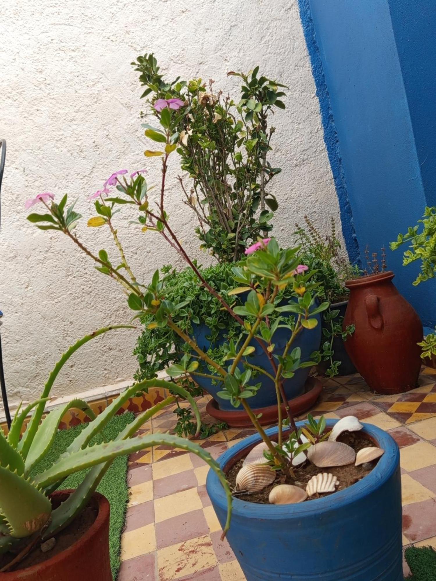 Habitación en casa particular Derb El Aarsa Marrakesh