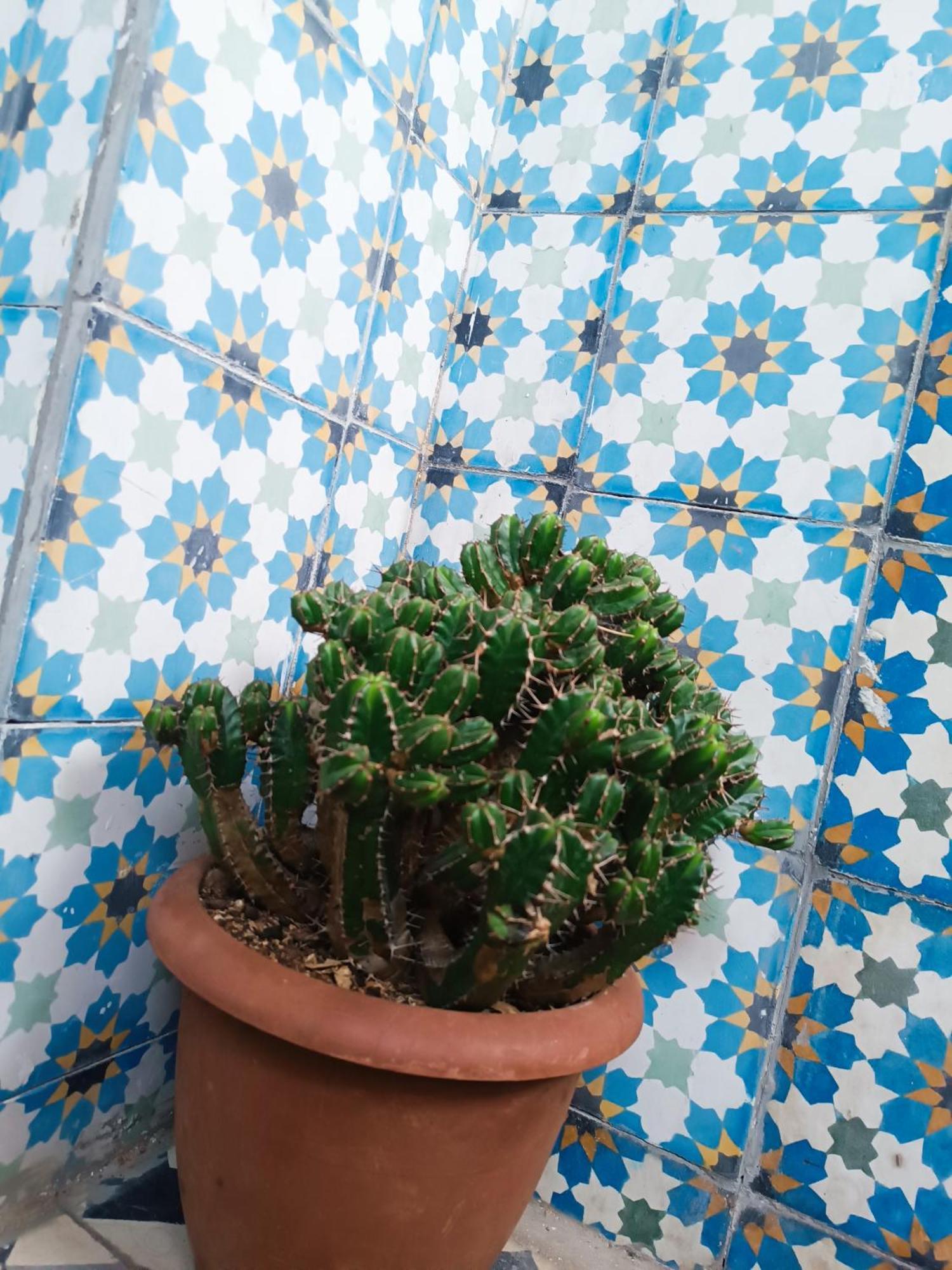 Derb El Aarsa Séjour chez l'habitant Marrakesh